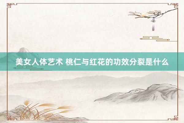 美女人体艺术 桃仁与红花的功效分裂是什么